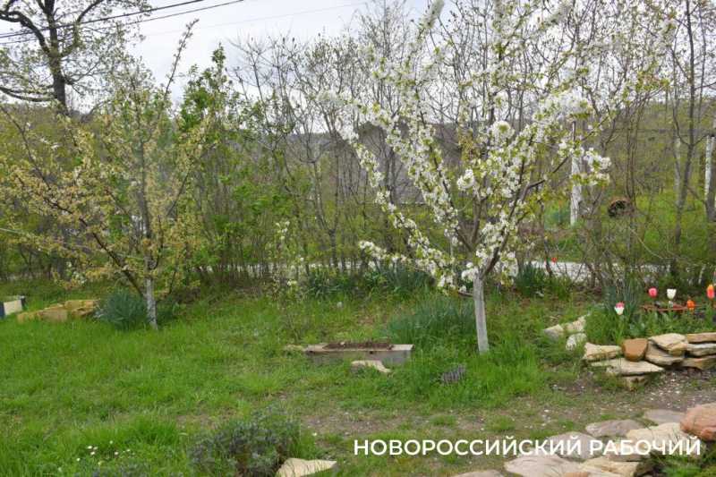 Новороссийские садоводы не видят препятствий на пути к грядкам