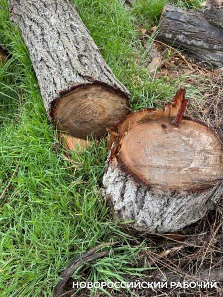 Памятники-арки возле цемзавода в Новороссийске ждут изменений в судьбе
