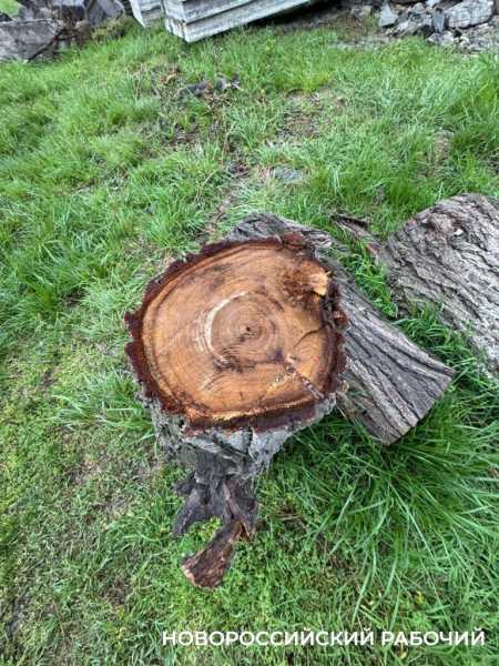 Памятники-арки возле цемзавода в Новороссийске ждут изменений в судьбе