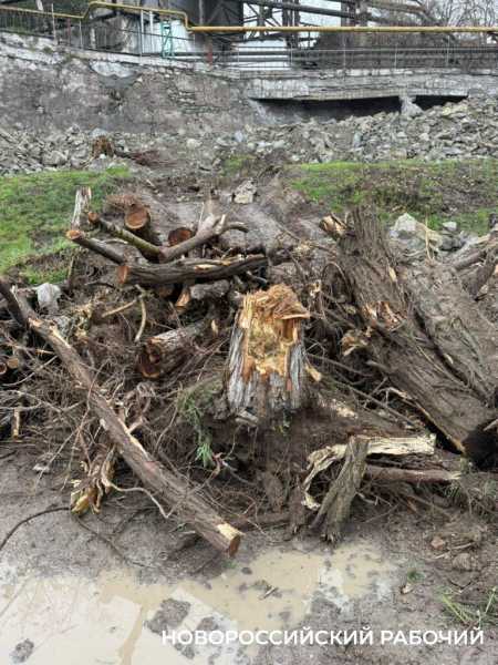 Памятники-арки возле цемзавода в Новороссийске ждут изменений в судьбе
