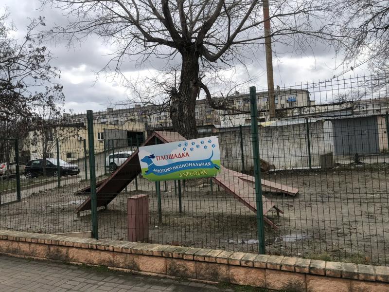 Пенсии вырастут, переплаты по кредитам снизят, собачьи площадки &ndash; расширят. С 1 апреля живем по новым законам