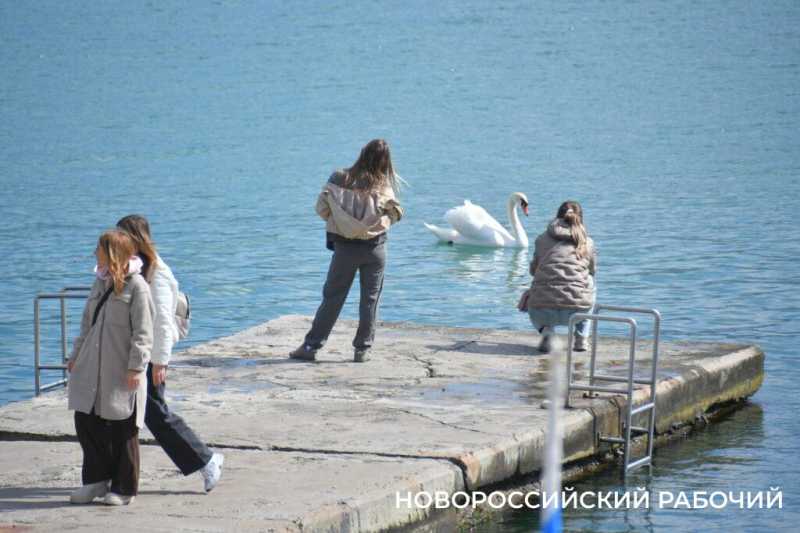 Прогулка по набережной Новороссийска настраивает на лето и отпуск. Фоторепортаж &laquo;НР&raquo;
