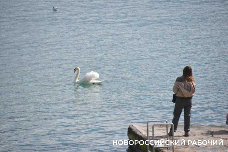 Прогулка по набережной Новороссийска настраивает на лето и отпуск. Фоторепортаж &laquo;НР&raquo;
