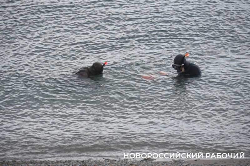 Прогулка по набережной Новороссийска настраивает на лето и отпуск. Фоторепортаж &laquo;НР&raquo;