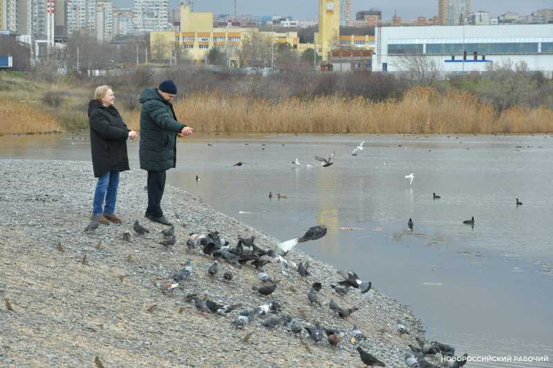 Совет дня на 11 апреля: можно закладывать пирамиды. Желательно, не финансовые