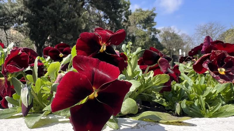 Совет дня на 13 апреля: просьбу одолжить денег начинайте с анекдота, &mdash; когда человек смеётся, он становится добрее