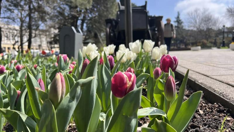 Совет дня на 17 апреля: откажись от ненужного и раздай долги