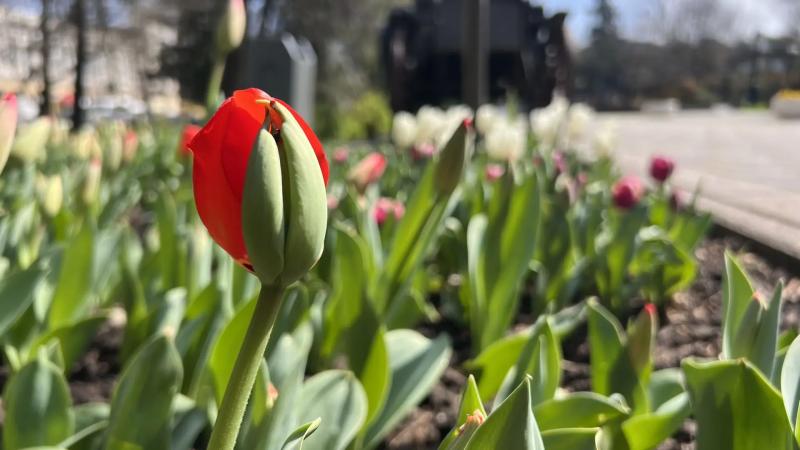 Совет дня на 20 апреля: почаще говорите хорошо о себе. Источник забывается &mdash; информация остаётся