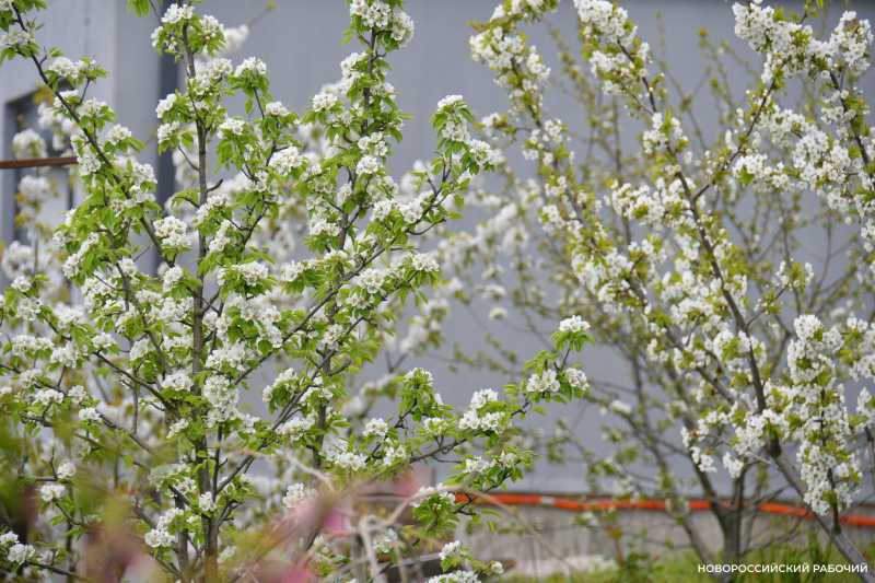Совет дня на 21 апреля: чтобы выспаться &mdash; надо не встать попозже, а лечь пораньше!
