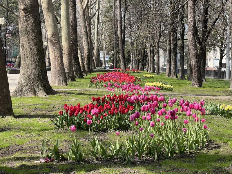 Совет дня на 22 апреля: Если у вас никогда нет денег, но при этом в доме есть чайник со свистком, лучше бы от него поскорее избавиться