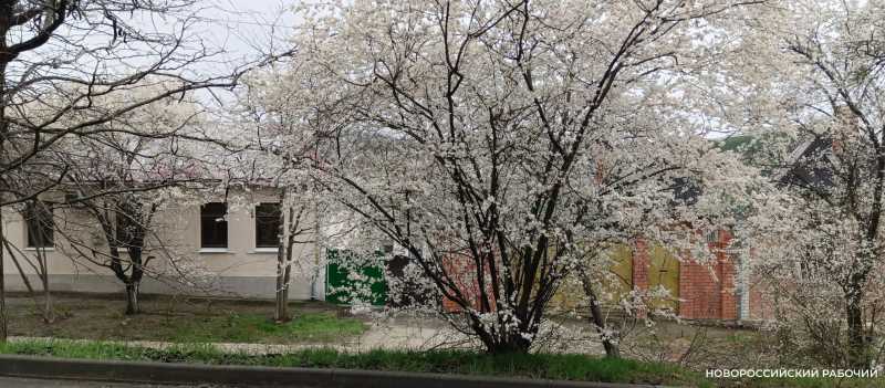 Совет дня на 3 апреля &ndash; неспешно поразмышляйте о себе