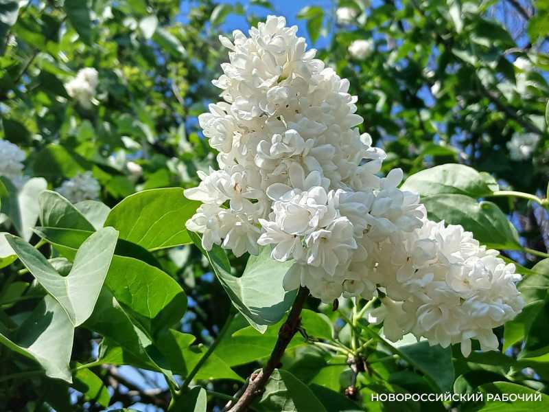 Совет дня на 8 апреля: думать всегда полезно. Особенно с умом&hellip;