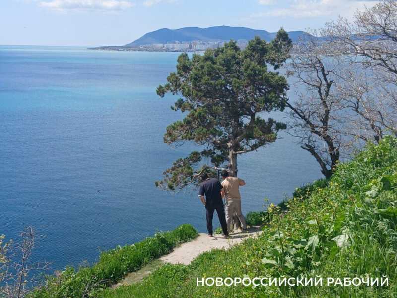 Транзитом через Новороссийск едут на Черноморское побережье весенние туристы