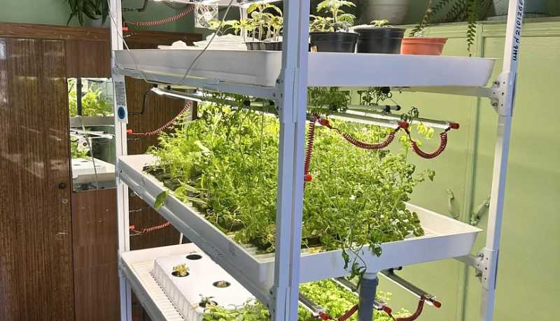 Уникальный проект: как фермеры Кубани могут вырастить себе кадры со школьной скамьи и получить до 90% субсидий от государства