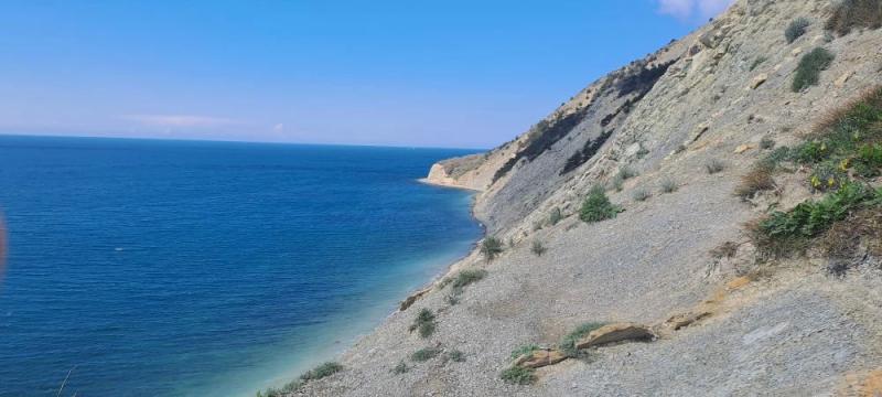 В горах Новороссийска зацвели уникальные дикие ирисы&nbsp;&nbsp;&nbsp;&nbsp;&nbsp;&nbsp;&nbsp;&nbsp;&nbsp;&nbsp;&nbsp;&nbsp;&nbsp;&nbsp;&nbsp;&nbsp;&nbsp;&nbsp;