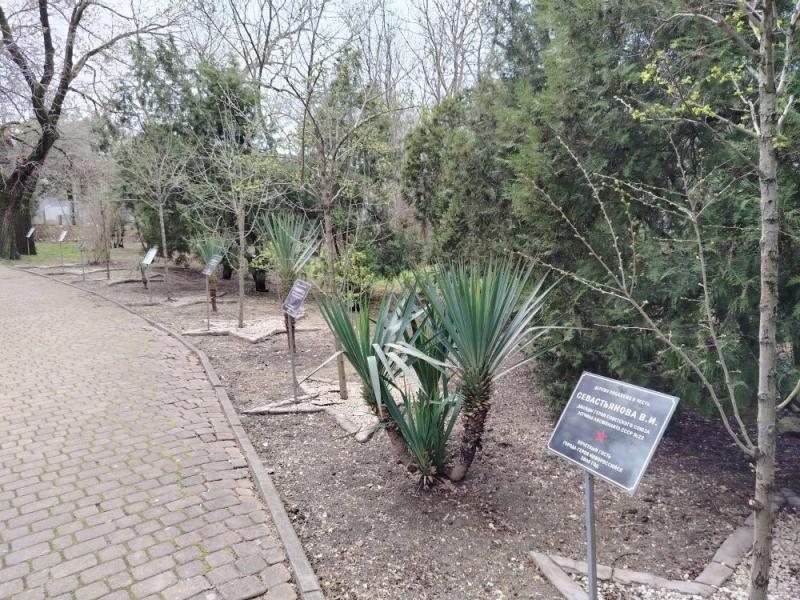 В Новороссийске капитально отремонтируют планетарий имени Гагарина