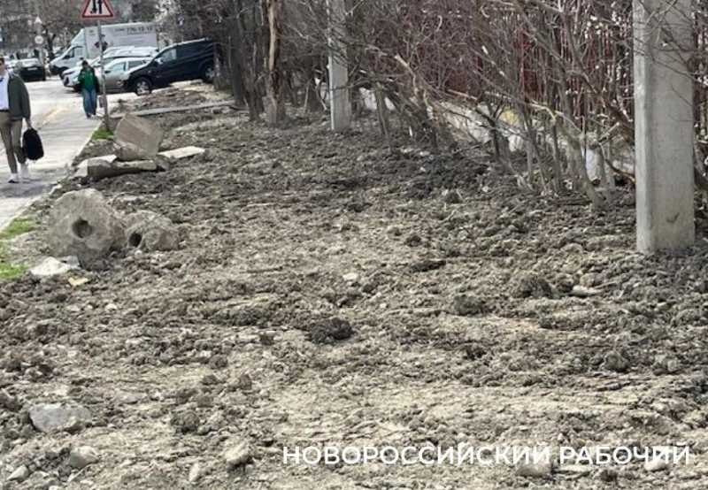 В Новороссийске коммунальщики бросили после себя грязь и изломанные кусты