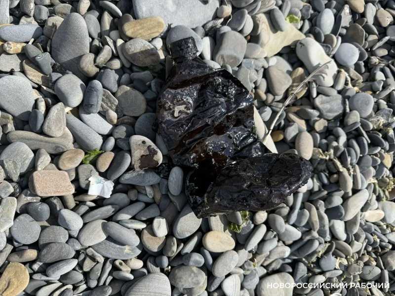 В Новороссийске на пляже нашли пятна мазута