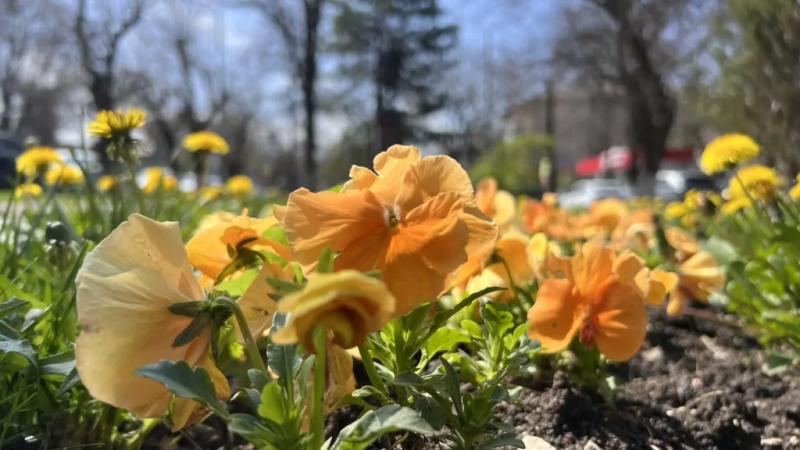 В Новороссийске на страстной неделе бушуют погодные страсти