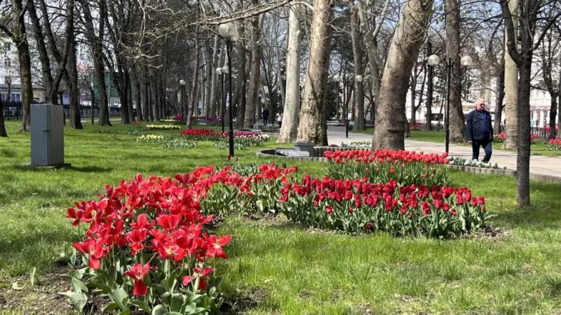 В Новороссийске на страстной неделе бушуют погодные страсти