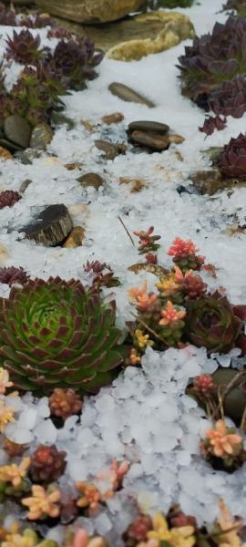 В Новороссийске на страстной неделе бушуют погодные страсти