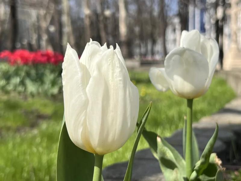 В Новороссийске на страстной неделе бушуют погодные страсти