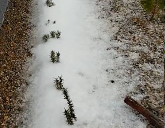 В Новороссийске на страстной неделе бушуют погодные страсти