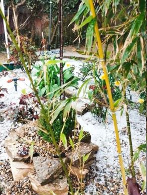 В Новороссийске на страстной неделе бушуют погодные страсти