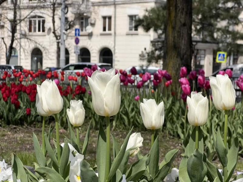 В Новороссийске на страстной неделе бушуют погодные страсти