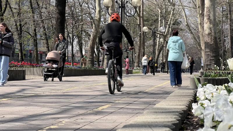 В Новороссийске начинается голосование за благоустройство главной Парковой аллеи города