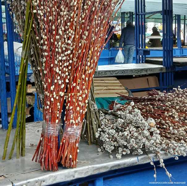 В Новороссийске накануне Вербного воскресенья торгуют пушистыми ветками