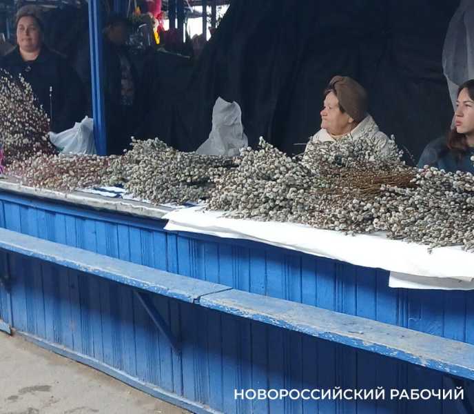 В Новороссийске накануне Вербного воскресенья торгуют пушистыми ветками