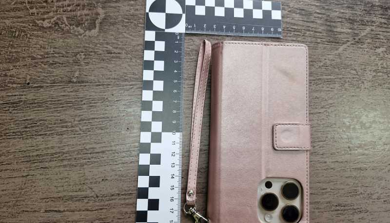 В Новороссийске полицейские вернули хозяйке похищенный телефон