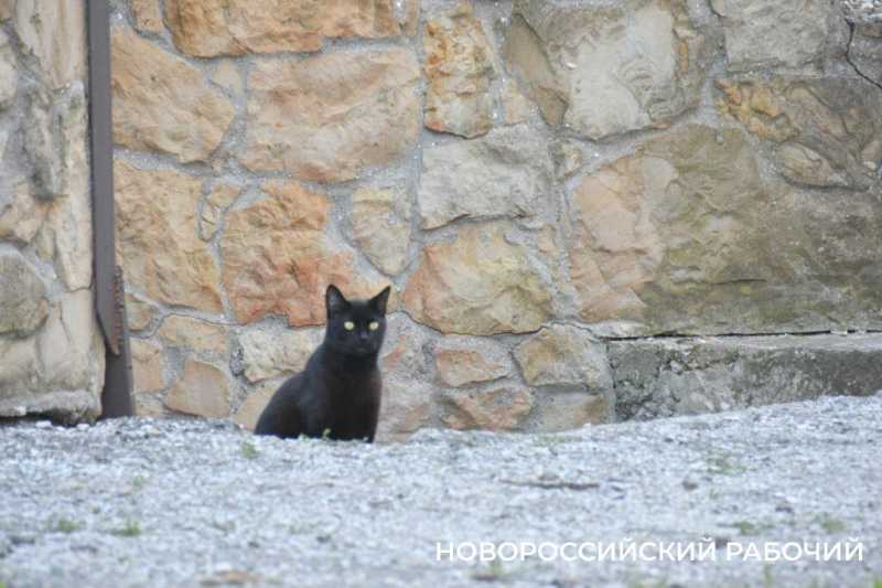 В Новороссийске советское бомбоубежище будет сохранять людей от дроновой атаки