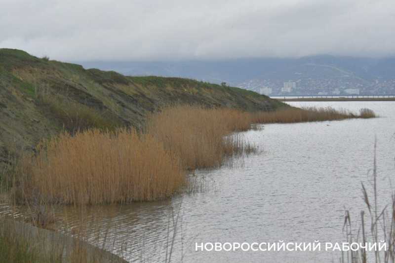 В Новороссийске успешно прошла &laquo;охота&raquo; на краснокнижных птиц &nbsp;&nbsp;&nbsp;&nbsp;&nbsp;&nbsp;