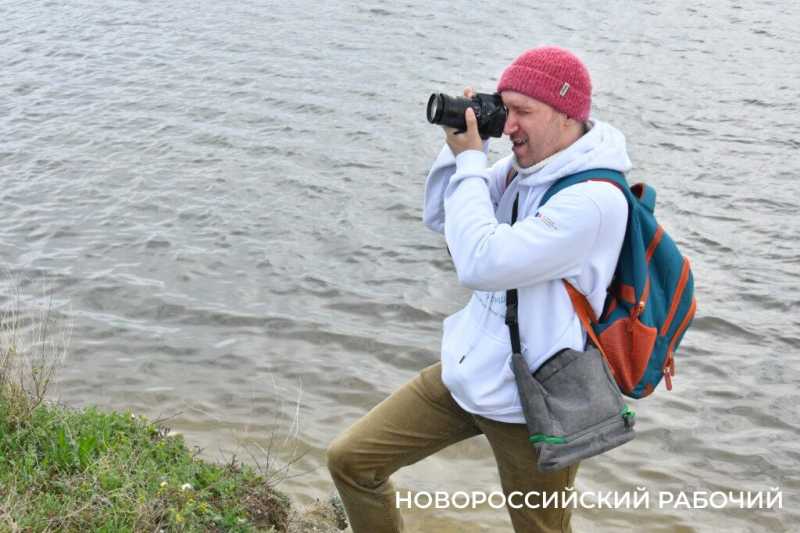 В Новороссийске успешно прошла &laquo;охота&raquo; на краснокнижных птиц &nbsp;&nbsp;&nbsp;&nbsp;&nbsp;&nbsp;