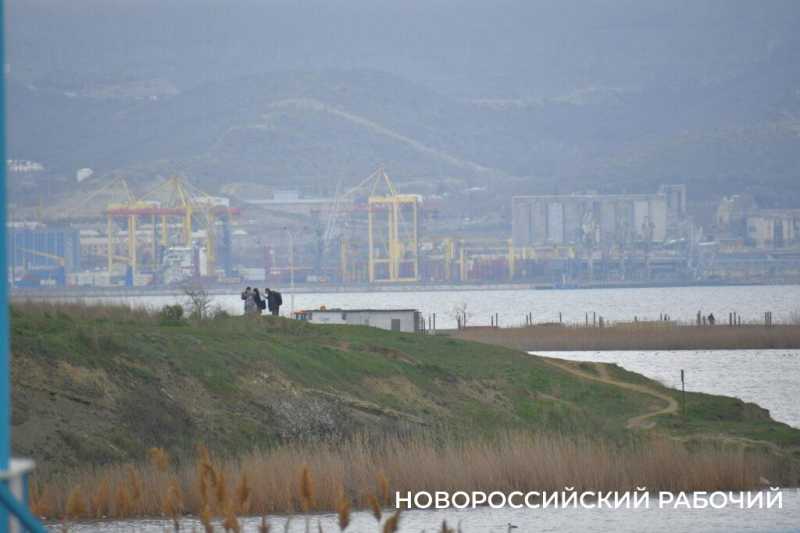 В Новороссийске успешно прошла &laquo;охота&raquo; на краснокнижных птиц &nbsp;&nbsp;&nbsp;&nbsp;&nbsp;&nbsp;