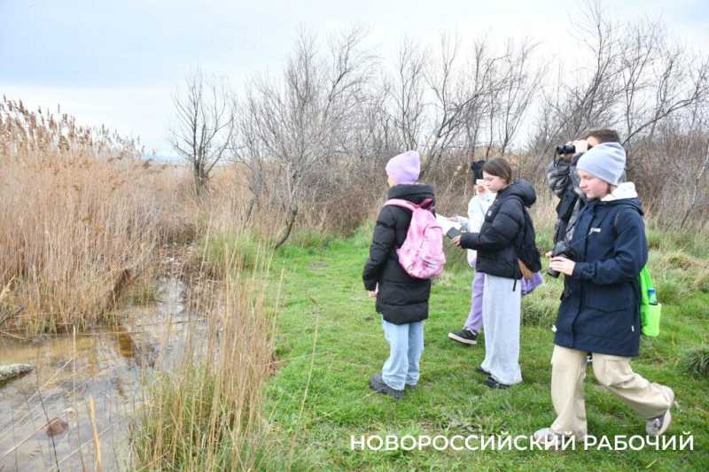 В Новороссийске успешно прошла &laquo;охота&raquo; на краснокнижных птиц &nbsp;&nbsp;&nbsp;&nbsp;&nbsp;&nbsp;