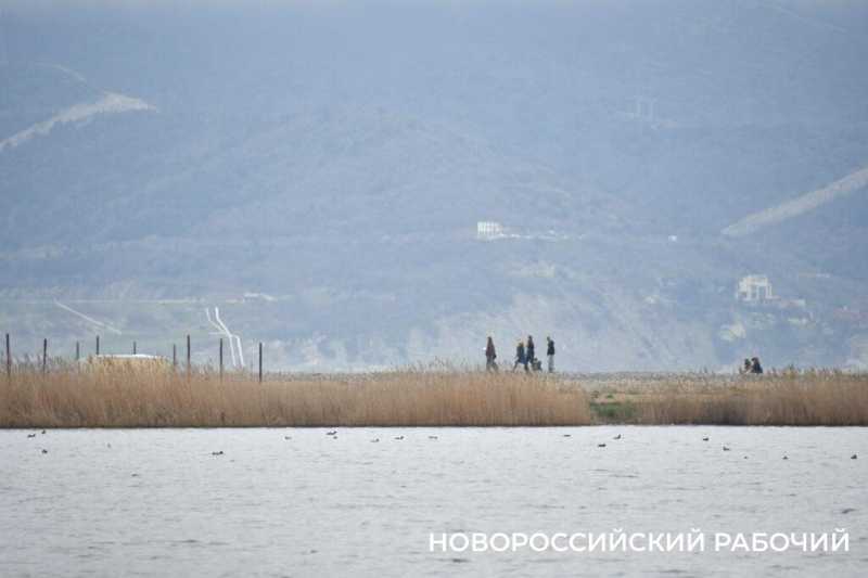 В Новороссийске успешно прошла &laquo;охота&raquo; на краснокнижных птиц &nbsp;&nbsp;&nbsp;&nbsp;&nbsp;&nbsp;