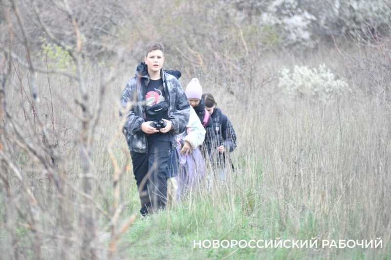 В Новороссийске успешно прошла &laquo;охота&raquo; на краснокнижных птиц &nbsp;&nbsp;&nbsp;&nbsp;&nbsp;&nbsp;