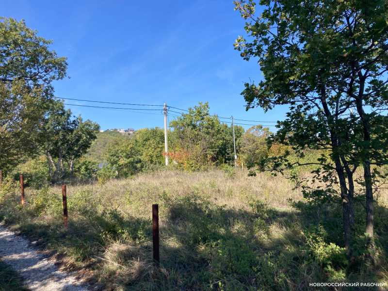 В Новороссийске вернулись к идее студенческого кампуса