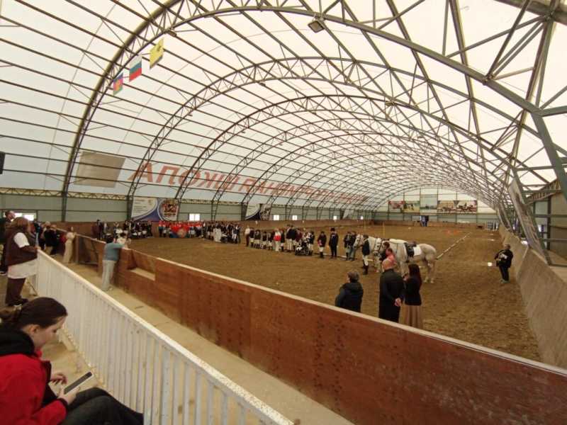 Ванкувер не подвел! В Новороссийске паралимпийцы соревновались в выездке