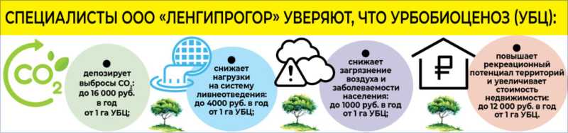 Засадим всё! В Новороссийске официально дан старт масштабному проекту &laquo;Зеленый каркас&raquo;