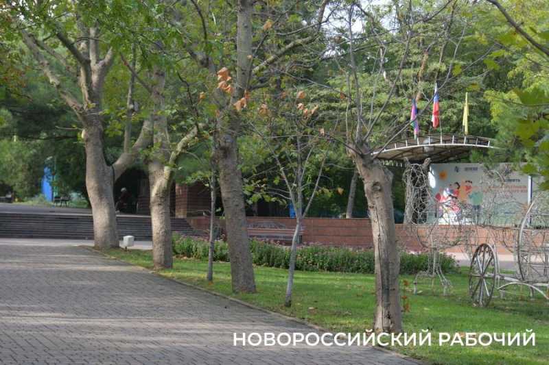 Засадим всё! В Новороссийске официально дан старт масштабному проекту &laquo;Зеленый каркас&raquo;