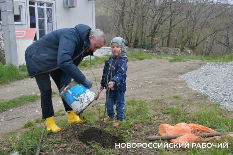 Засадим всё! В Новороссийске официально дан старт масштабному проекту &laquo;Зеленый каркас&raquo;