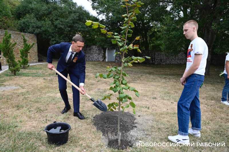 Засадим всё! В Новороссийске официально дан старт масштабному проекту &laquo;Зеленый каркас&raquo;
