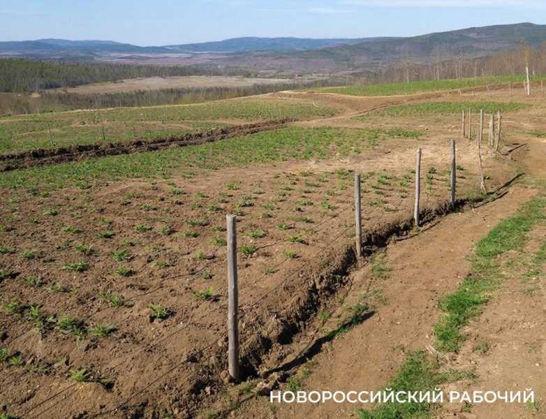 Защитники Новороссийска могут претендовать на арктический и дальневосточный гектар