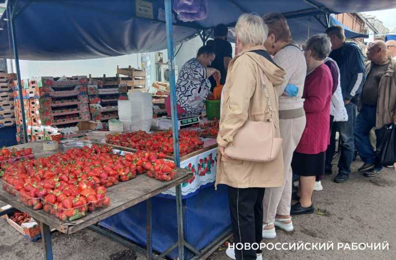 Черешня, клубника, алыча – на рынки Новороссийска пришло лето