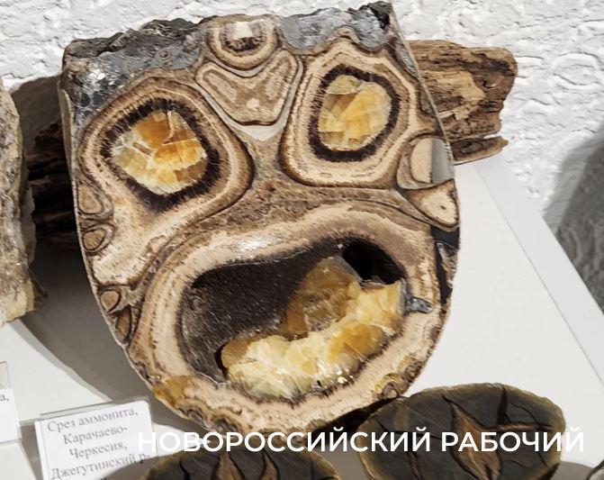 Что увидим ближе к полуночи? Сегодня в Новороссийске пройдет &laquo;Ночь музеев&raquo;