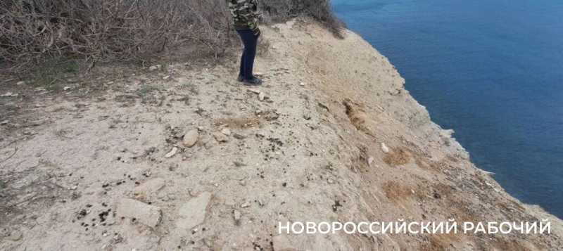 Козы съели реликтовый лес под Новороссийском